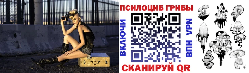Псилоцибиновые грибы ЛСД Дрезна